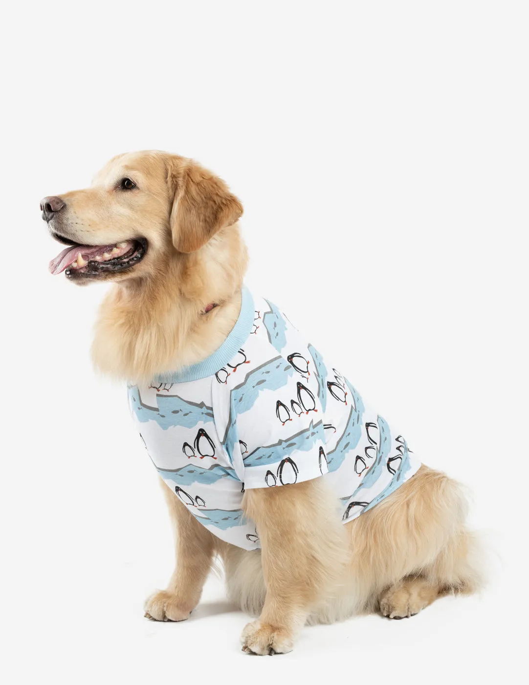 Big Dog Penguin Pajamas