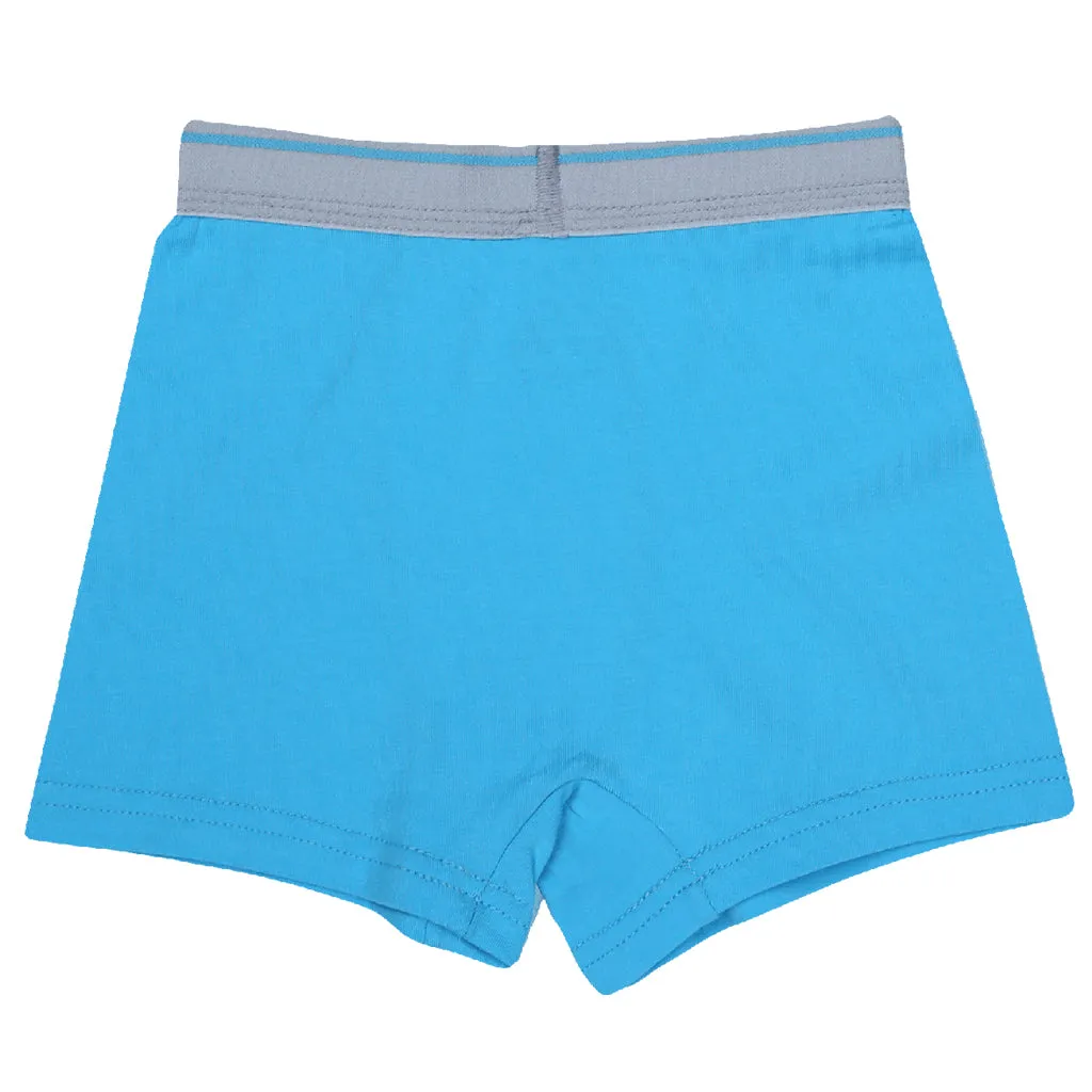 Boys Boxers c.410 Blue and Gray